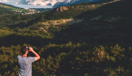 Feathered Finds and Field Notes: How Bird Watching Tours Can Boost Engagement Through Social Strudel