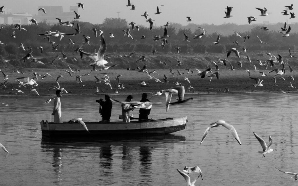 Birding in the Digital Age