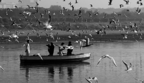 Birding in the Digital Age: Why Lifer Lists Are Taking Flight