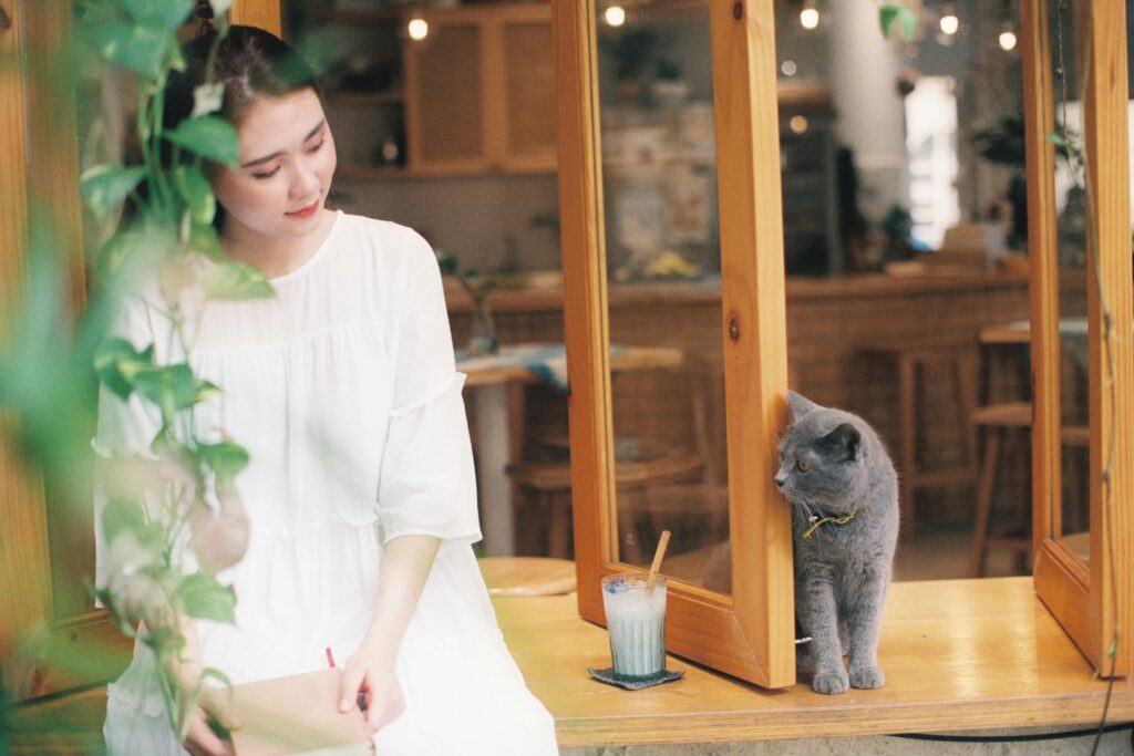 Cat Cafes Win Hearts