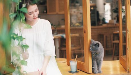 Purr & Sip Diary: How Cat Cafes Can Win Hearts and Grow Buzz with Social Strudel