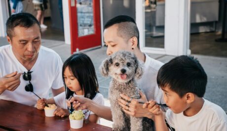 Street Sweet Stories: Turning Cravings into Content at Your Local Crepe Stand