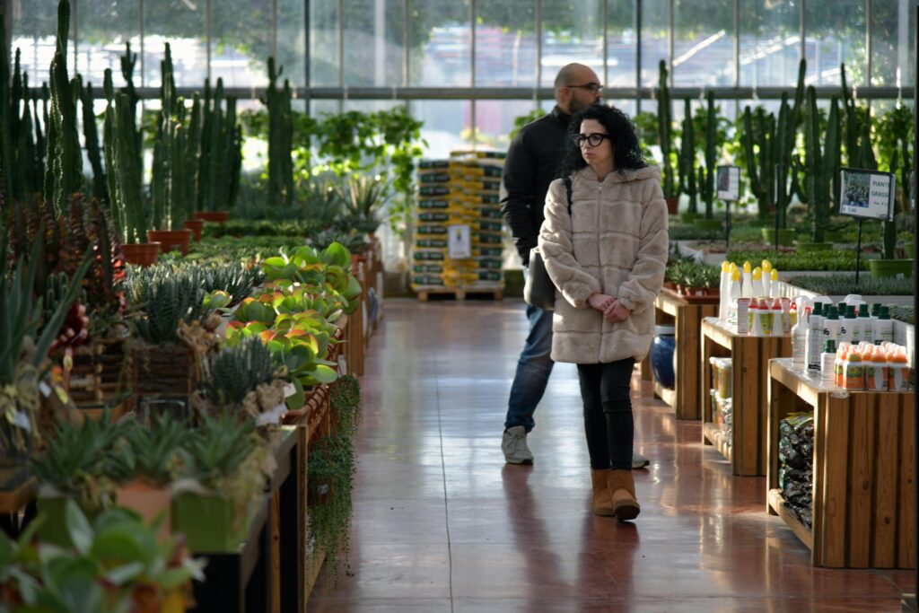 garden center plants