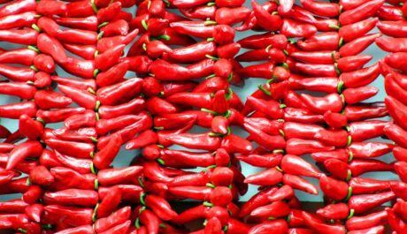 Welcome to the Heat Seekers League: Where Flavor Meets Fire and Community Grows