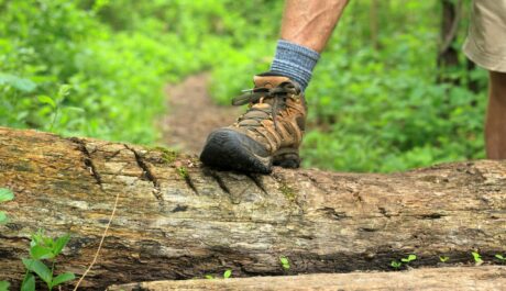Why Trail Tested Stories Are the Breath of Fresh Air Your Hiking Boot Brand Needs