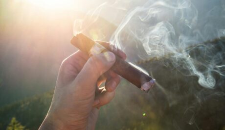 Humidor Pride and Pairing: A Lifestyle Smoked to Perfection