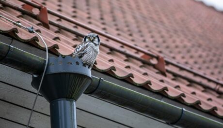 Rain Ready Checklist: Gutter Cleaning Tips That Keep Your Home Dry and Your Feed Engaged
